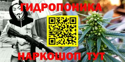 гашик Ставрополь