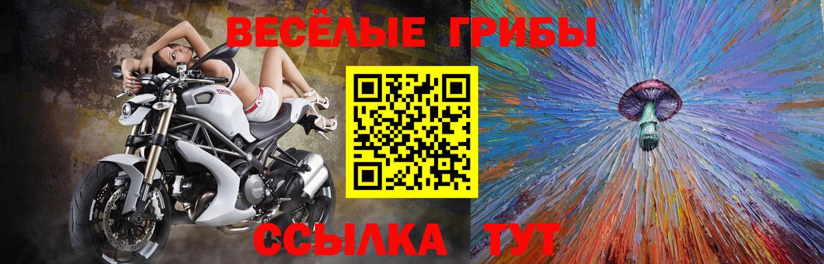 Псилоцибиновые грибы мицелий  Псилоцибиновые грибы Psilocybe  Сегежа  Вход с VPN 